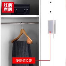 【红心家居】两门更衣柜铁皮柜带锁挂衣柜储物柜寄存箱 两门更衣柜
